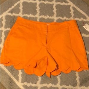 Crown & ivy scalloped shorts